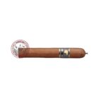 Cohiba Behike 54 10S 1