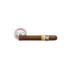 Cohiba Siglo II 25S 1