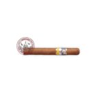 Cohiba Siglo II CP AT 15S 1