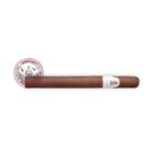 Davidoff Winston Churchill Churchill CP 4X5 20S 1