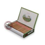 La Flor de Cano Petit Coronas 25S 1