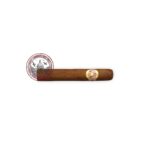 Ramon Allones Specially Selected 25S 1